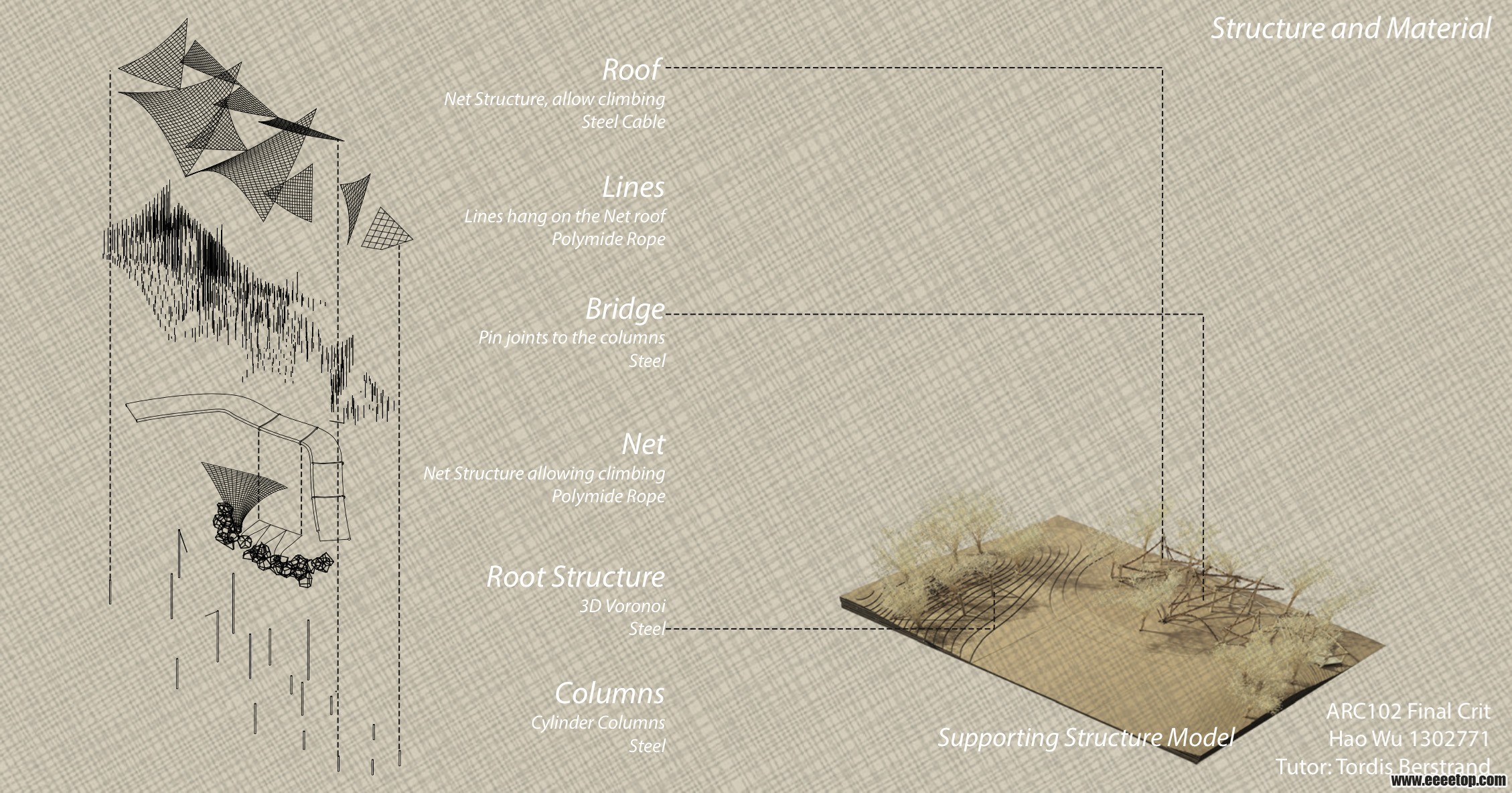 Structural Model