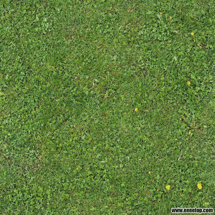 1grass_texture_seamless_3.jpg