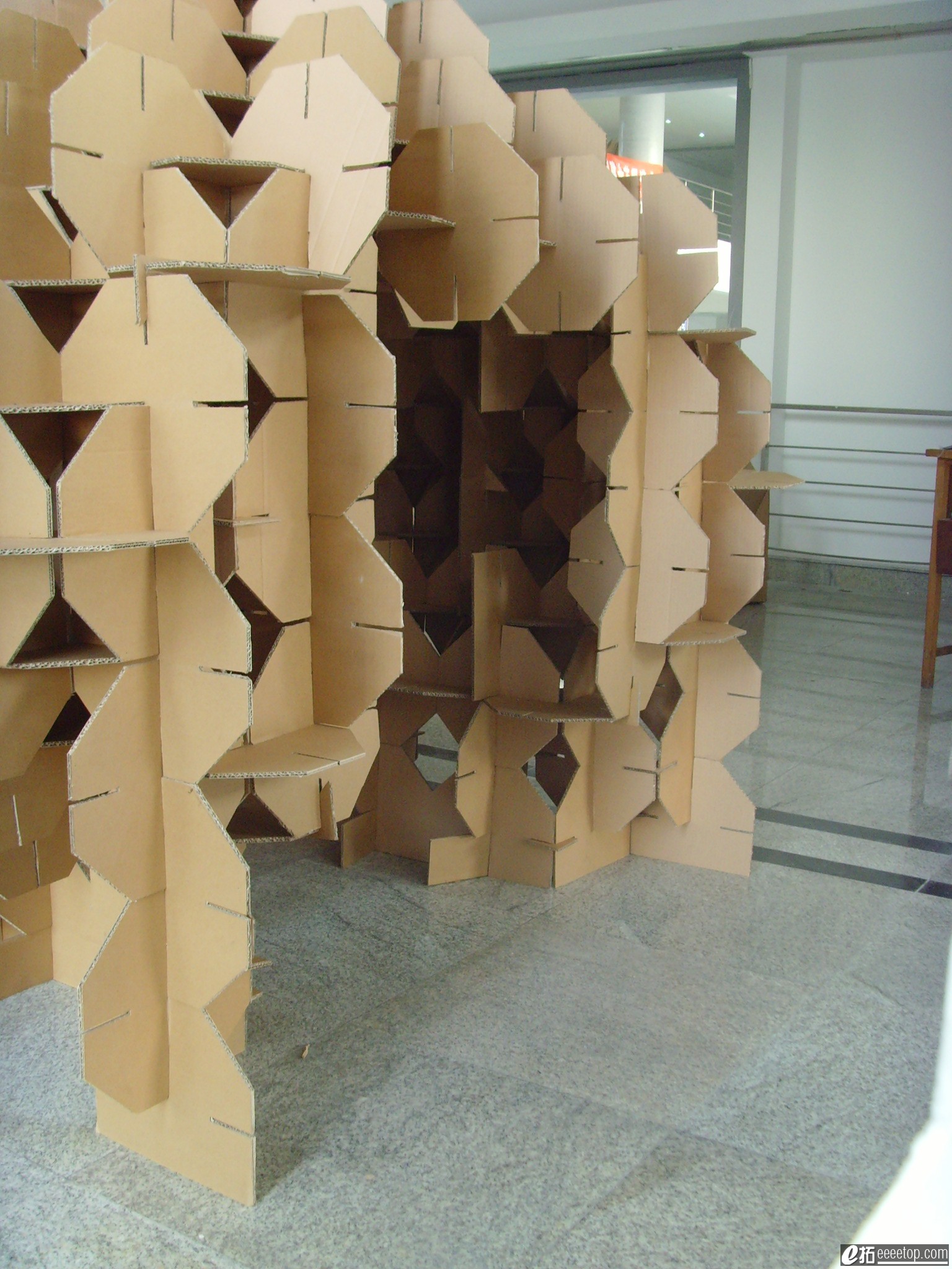 SNV30142.JPG