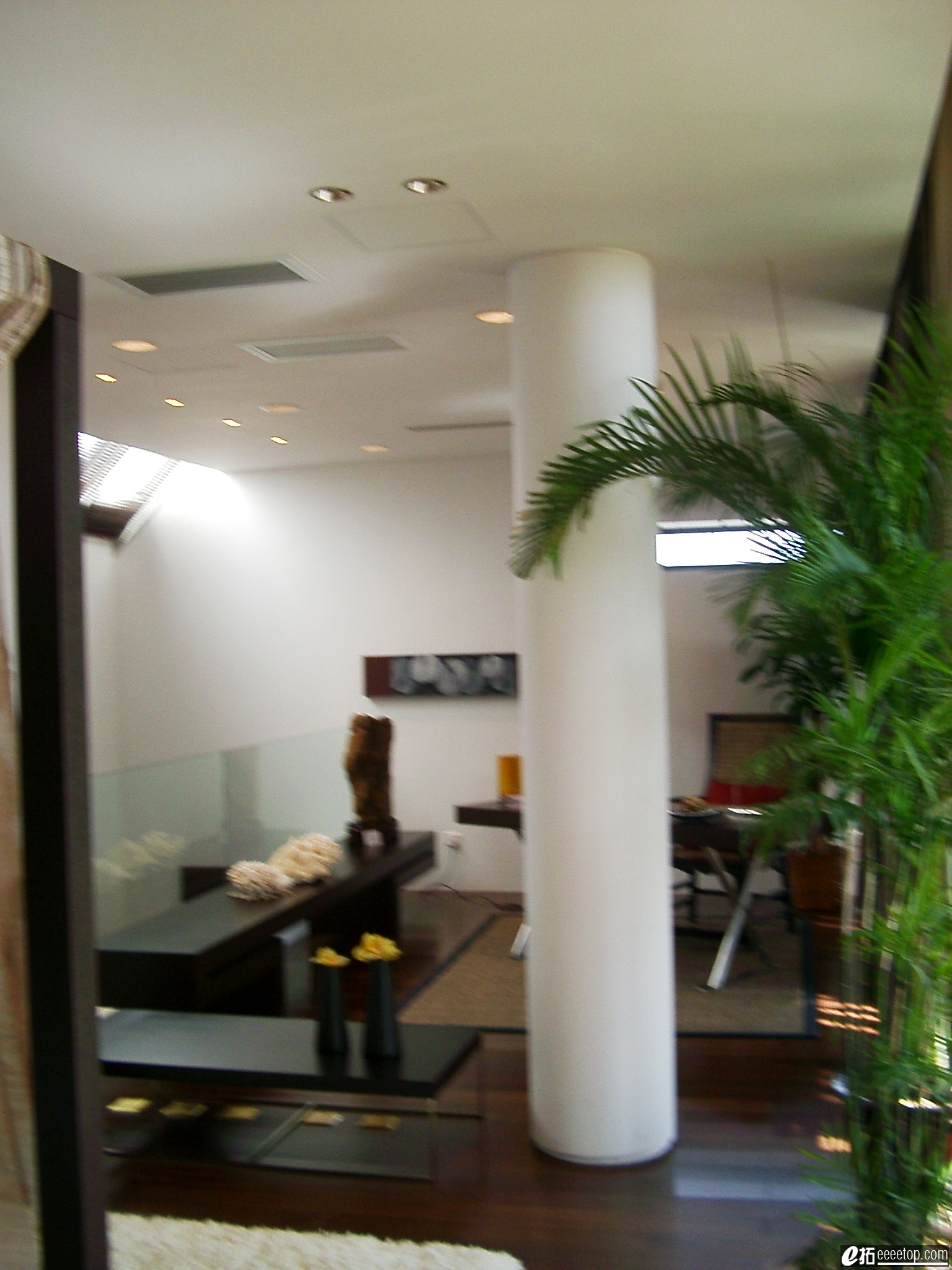 IMGP6142.JPG