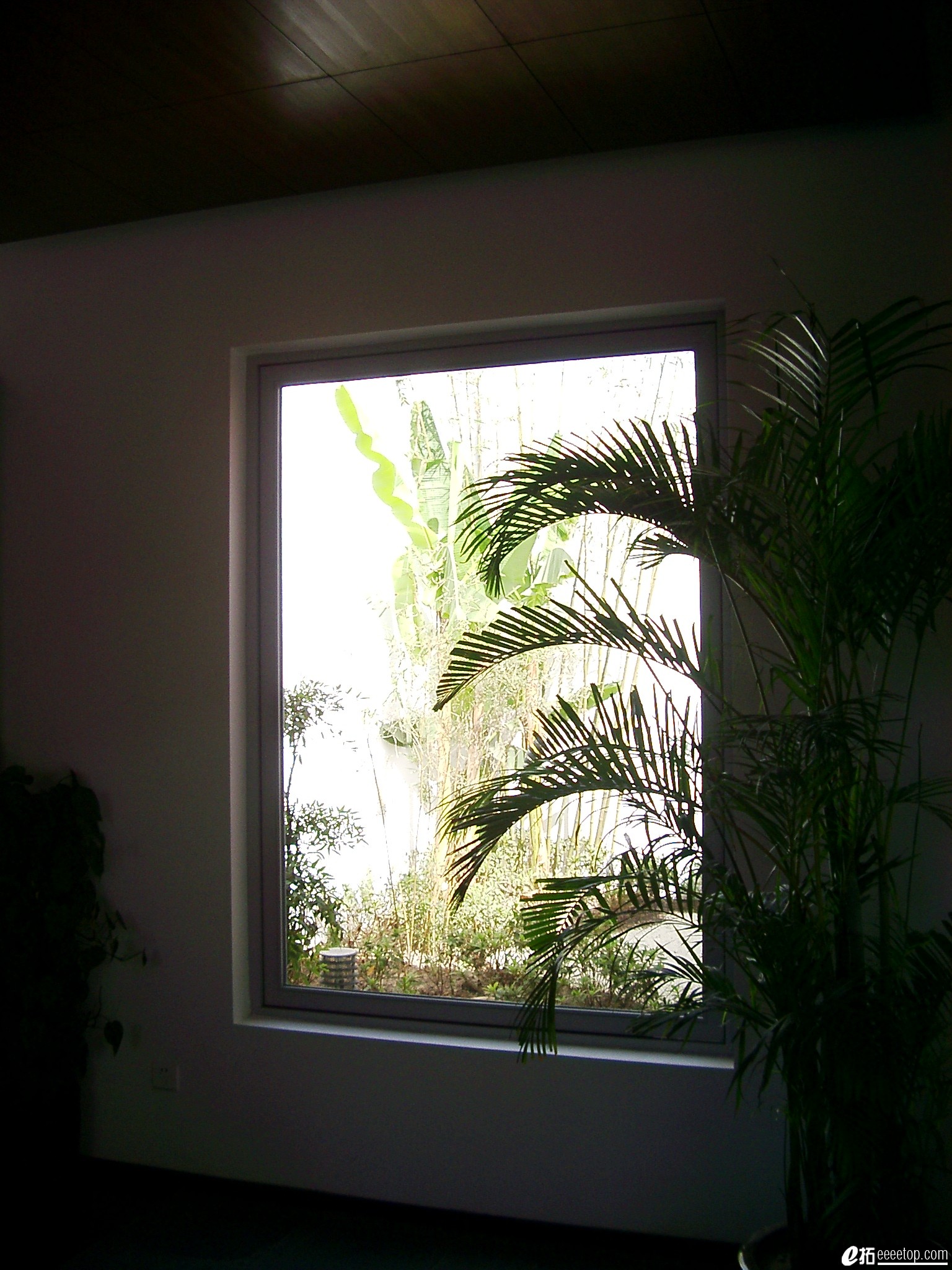 IMGP6225.JPG