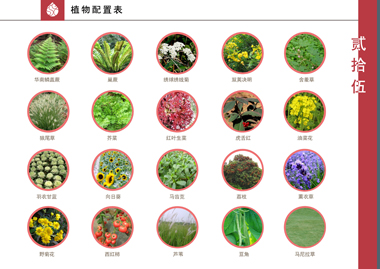一个公园的设计方案-25