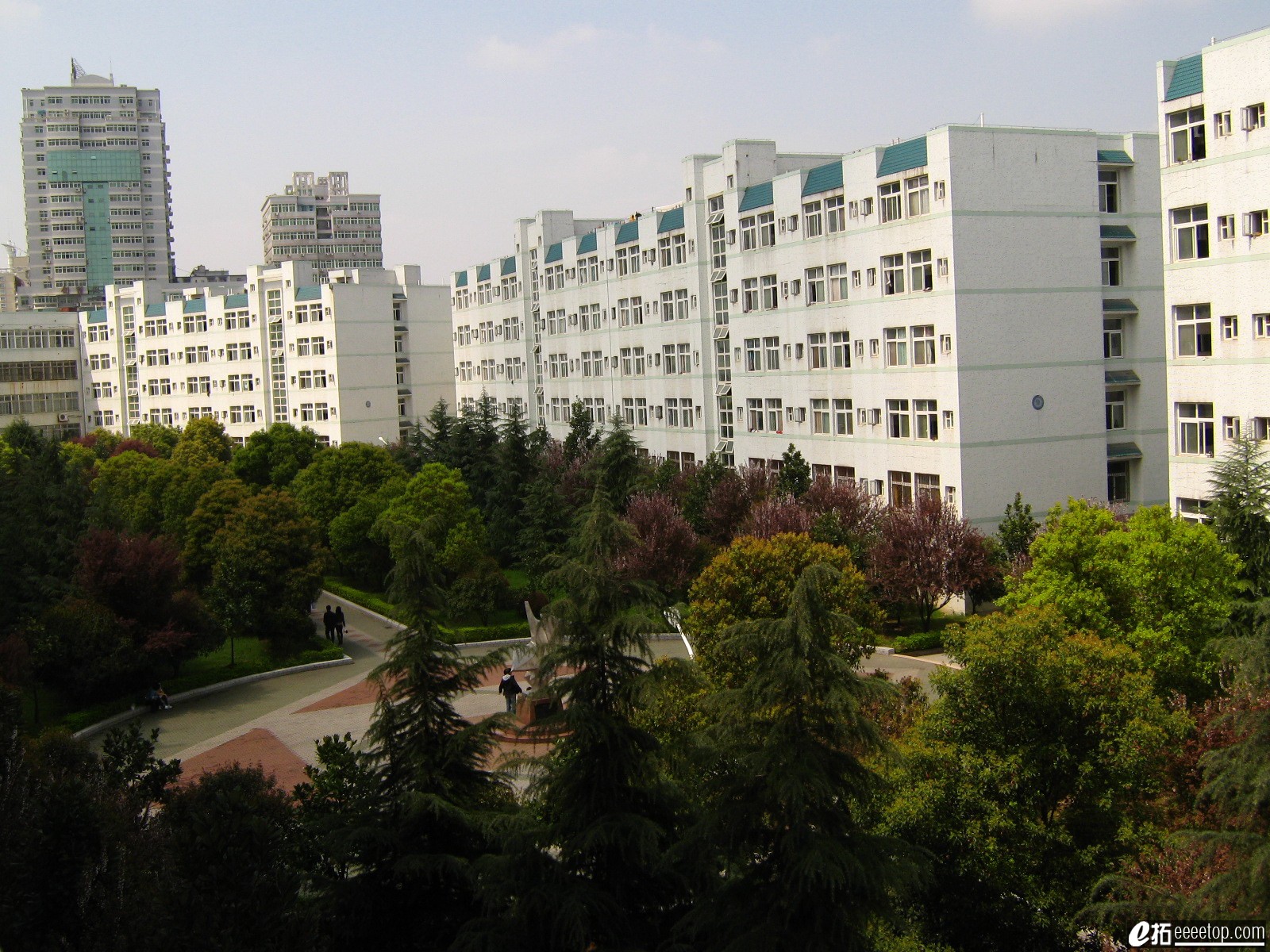 010.jpg