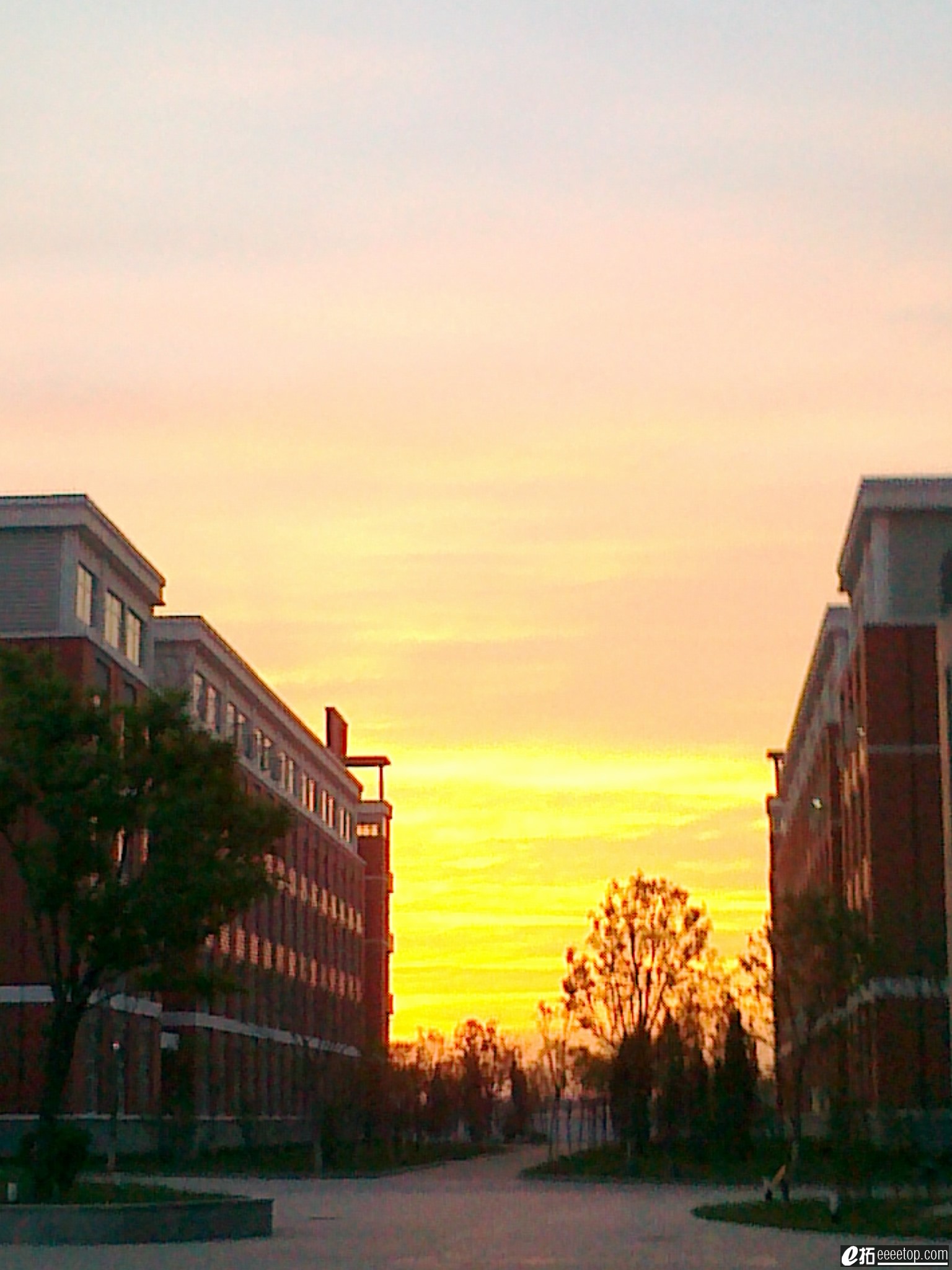 20110521903.jpg