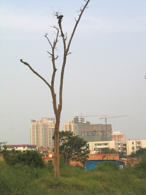 123.jpg