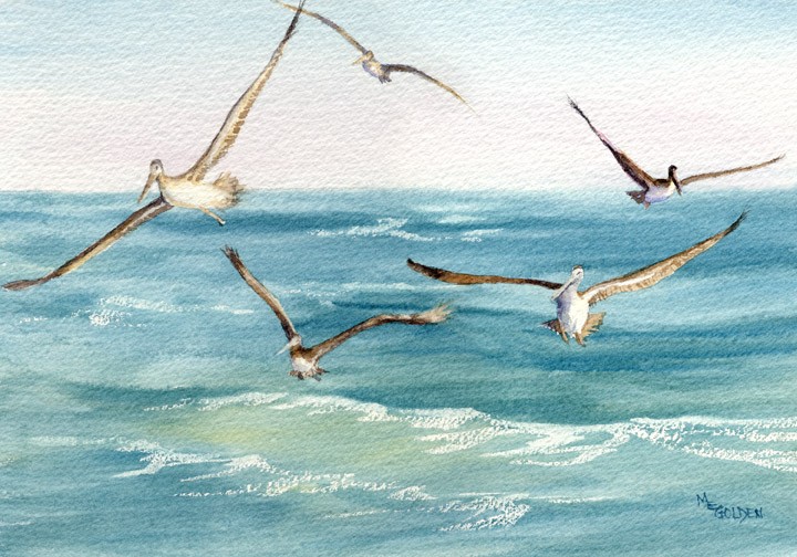 5 Pelicans Following the Ferry wake and fishing giclee.jpg