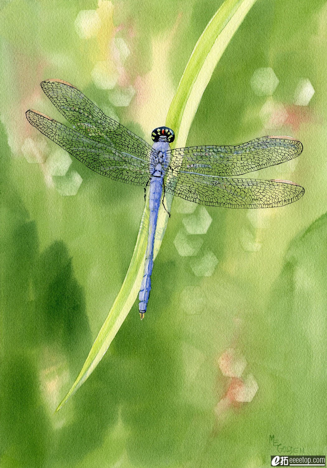 Blue Dragonfly giclee print.jpg