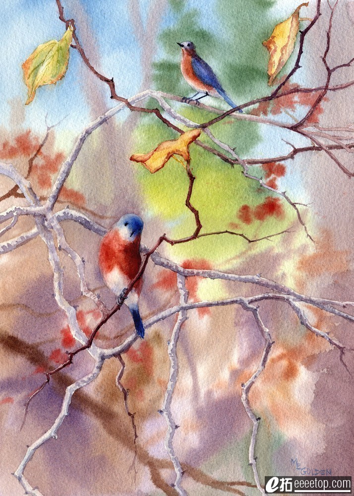Bluebirds in the Redbud Tree.jpg