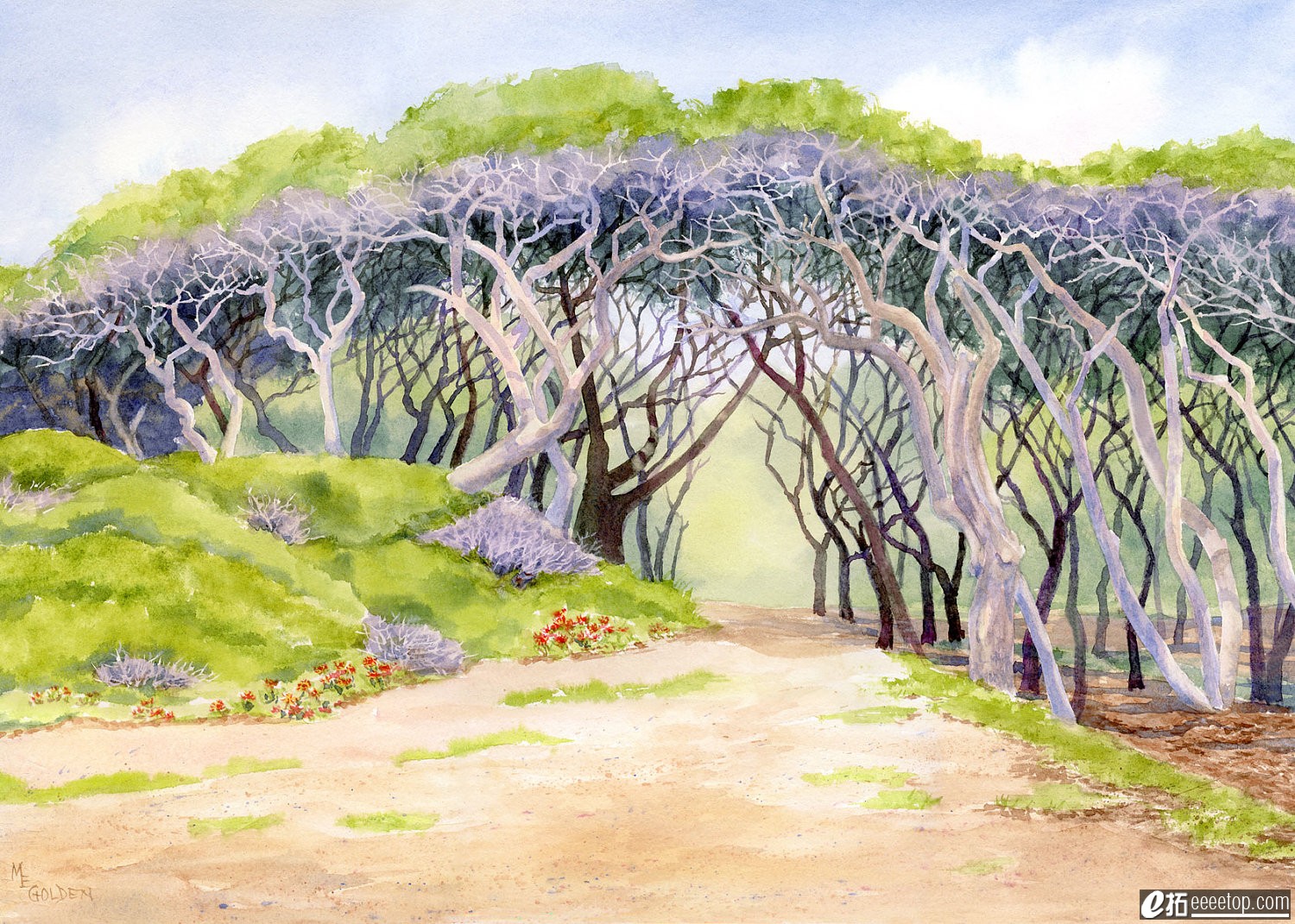 Canopy of Weathered Trees at Fort Fisher giclee.jpg