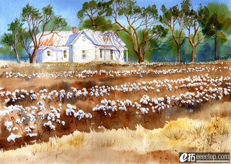 Cotton Fields Back Home giclee print from original watercolor.jpg
