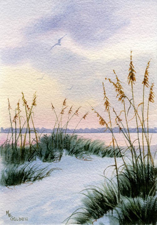 Dusk in the Sand Dunes and Sea oats.jpg
