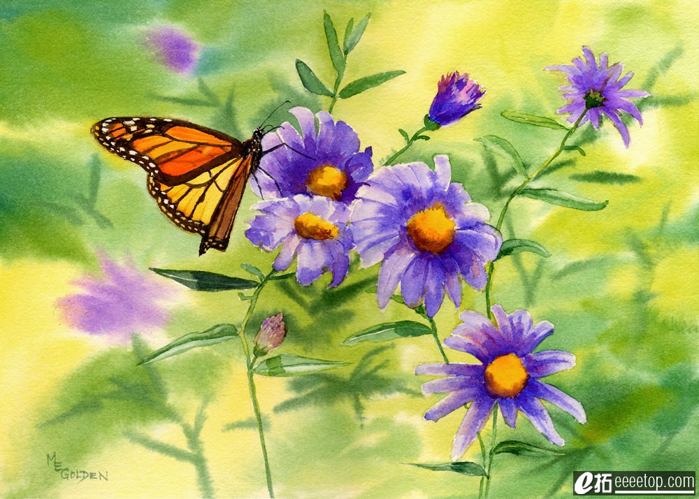 Monarch Butterfly with asters giclee print.jpg