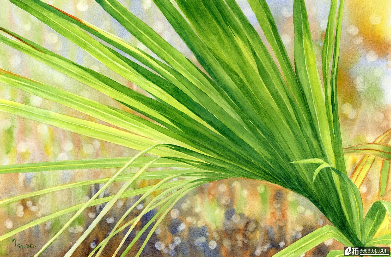 Palm Frond with sunlight shining through.jpg