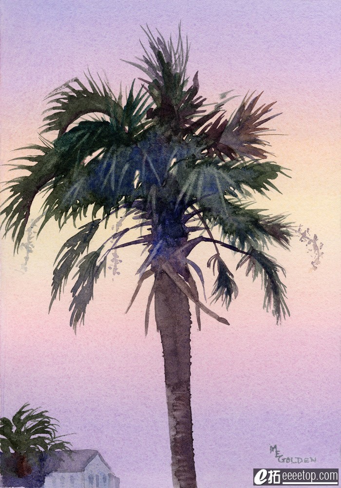Sunrise Palm.jpg