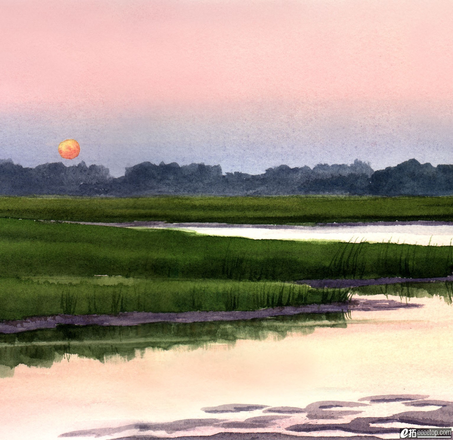 Sunset Marsh.jpg