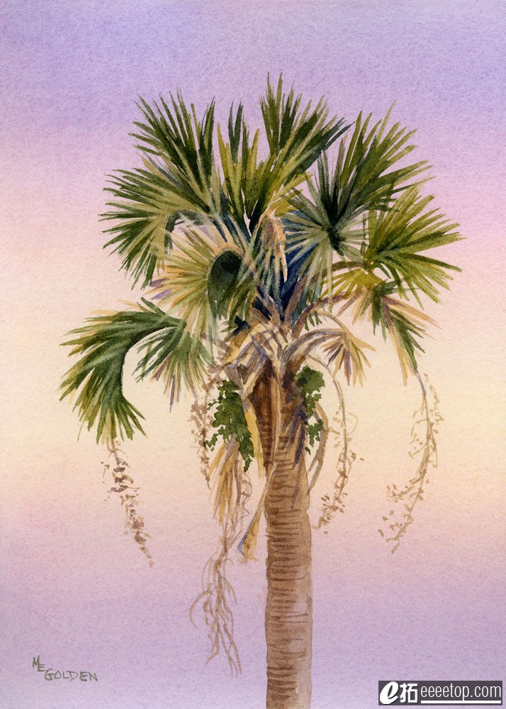 Sunset Palm fronds waving in the evening light.jpg