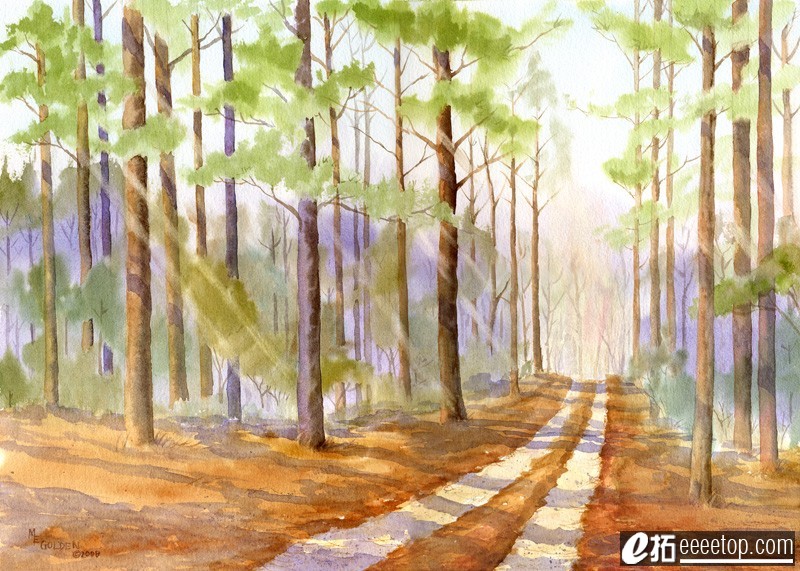 The Road Back Home Through a Pine Forest gicle print.jpg