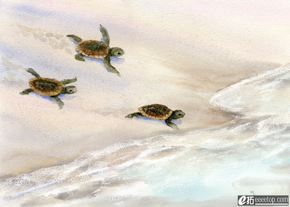 Tracks in the Sand Sea Turtle Beach Print from Watercolor Painting.jpg