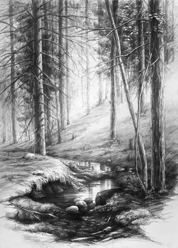 forest_interior_by_hipiz.jpg