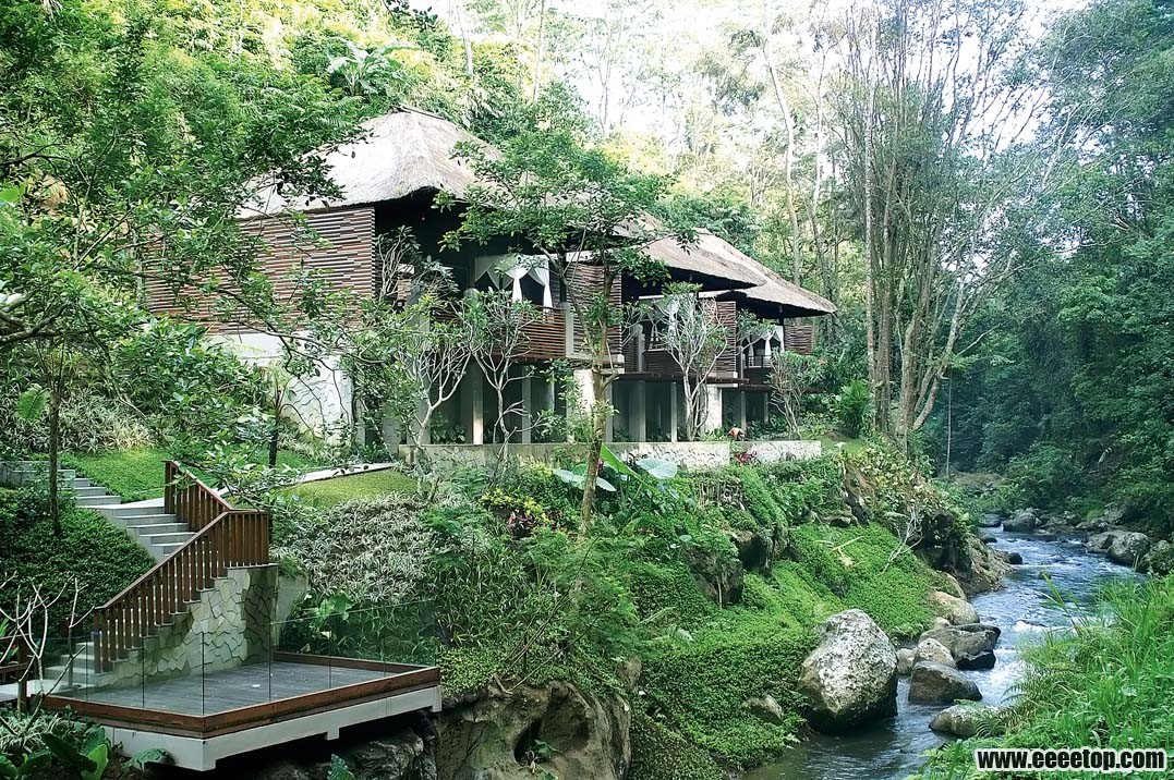 ڲŶȼٴ1.jpg
