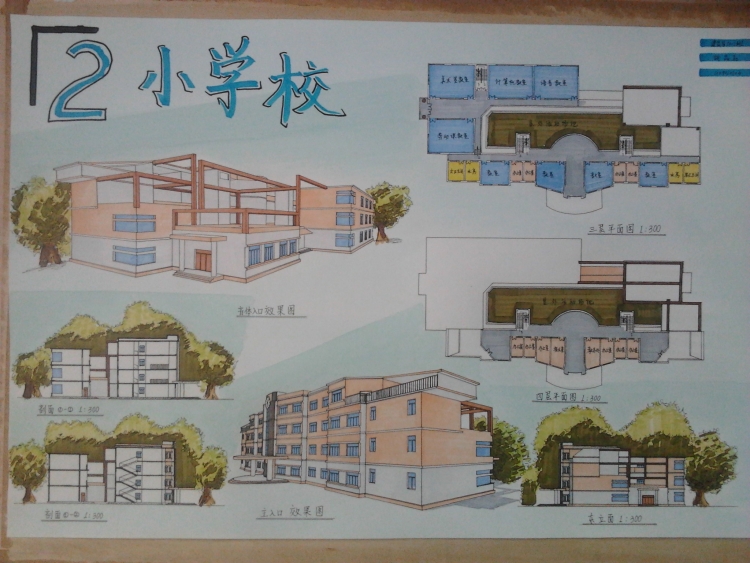 大三小学校设计-2