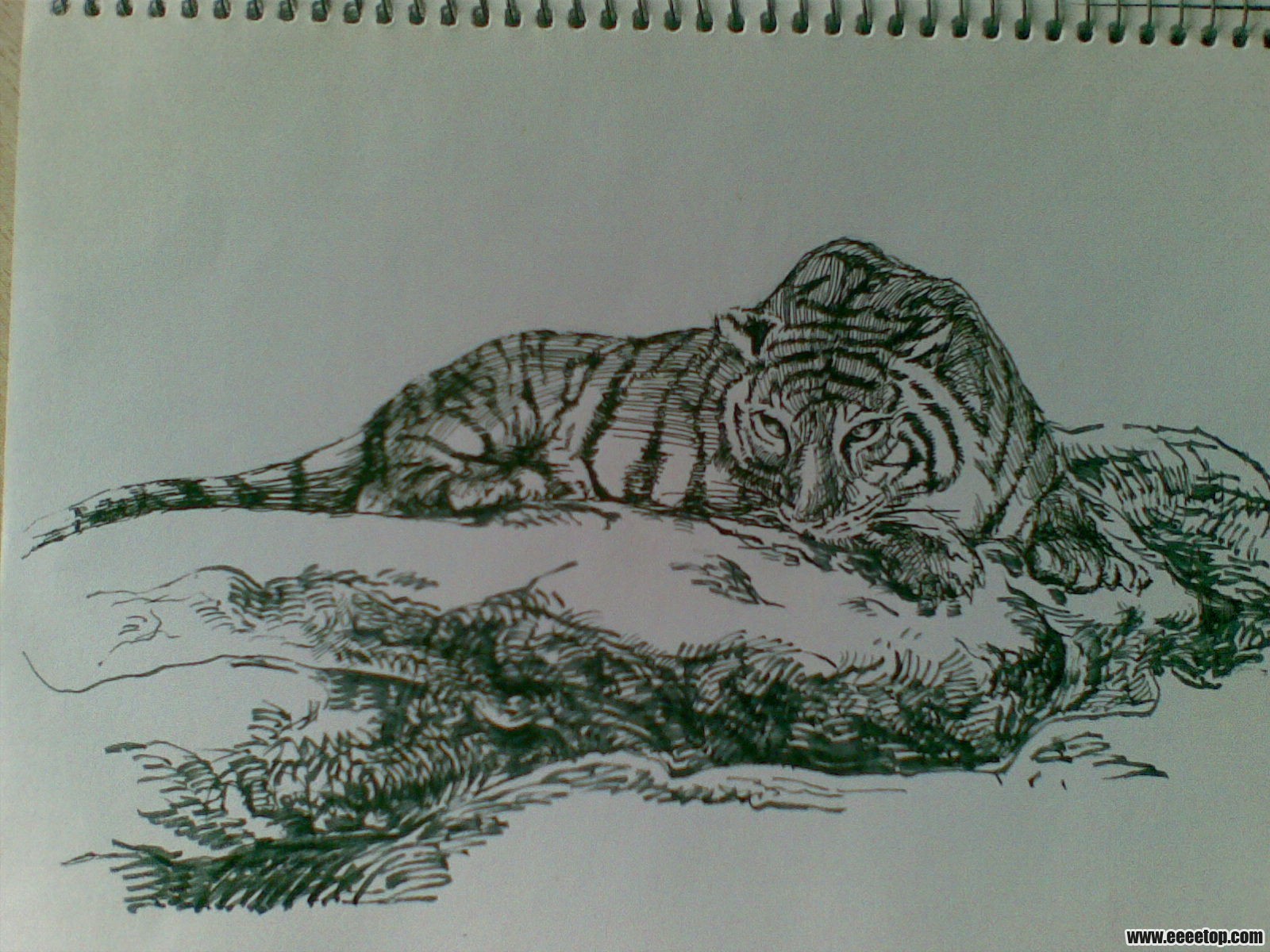 20111225_010.jpg