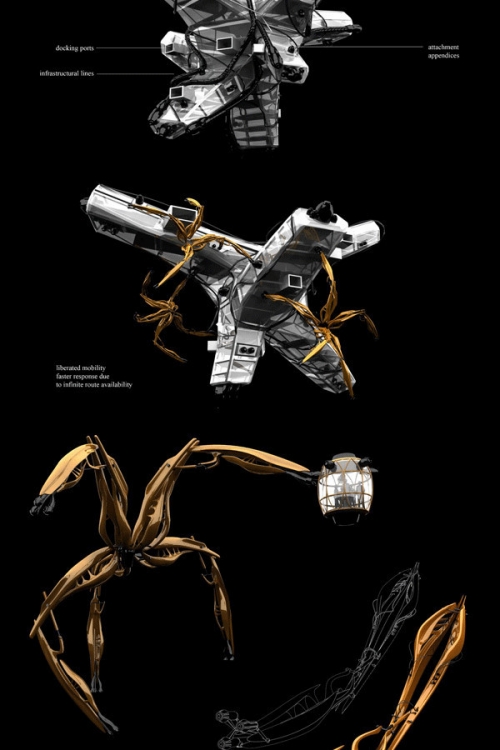 Evolve 2013获奖作品-46