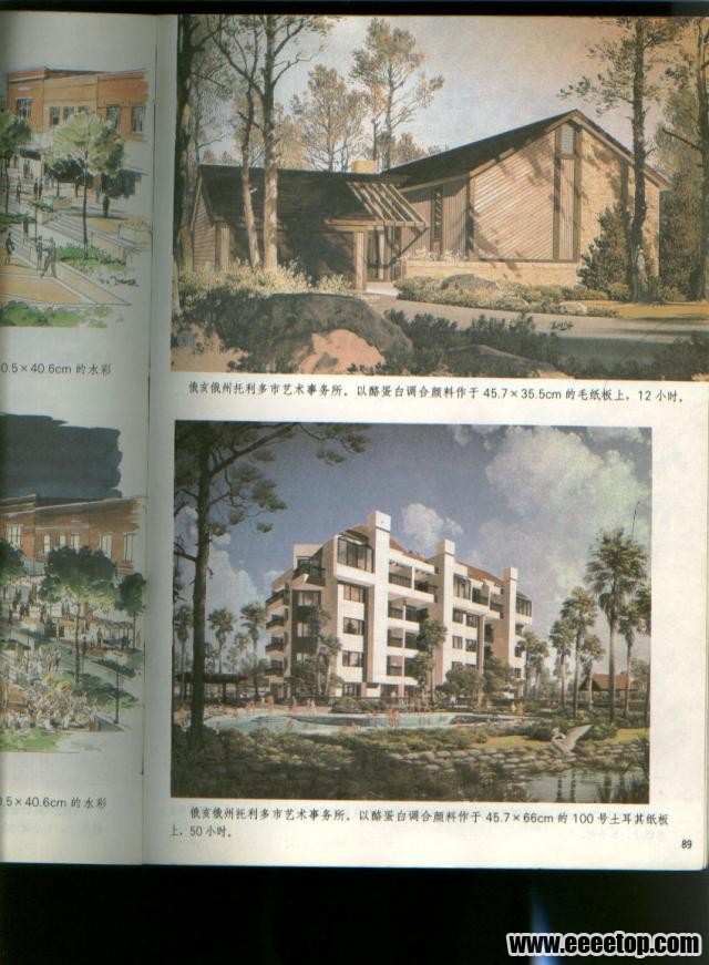 11441234.snap.jpg