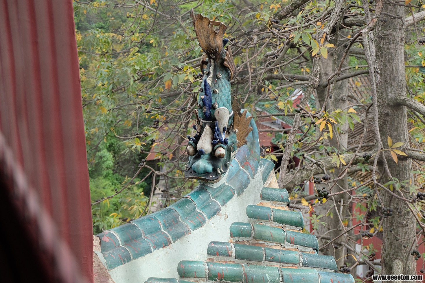 DSCF1497.JPG