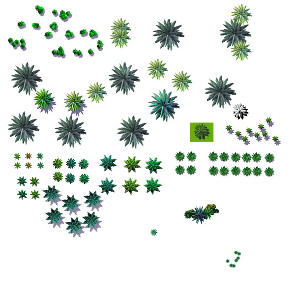 tree-palm-plan01_С.jpg