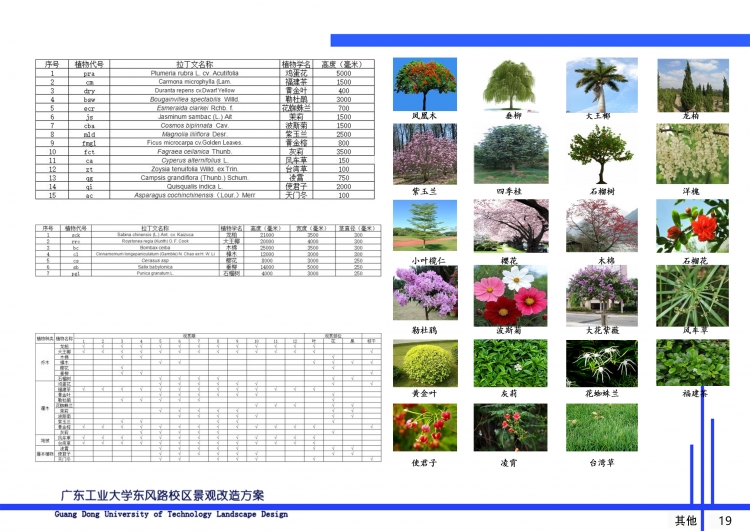 大三上学期做的一个校园景观规划-13