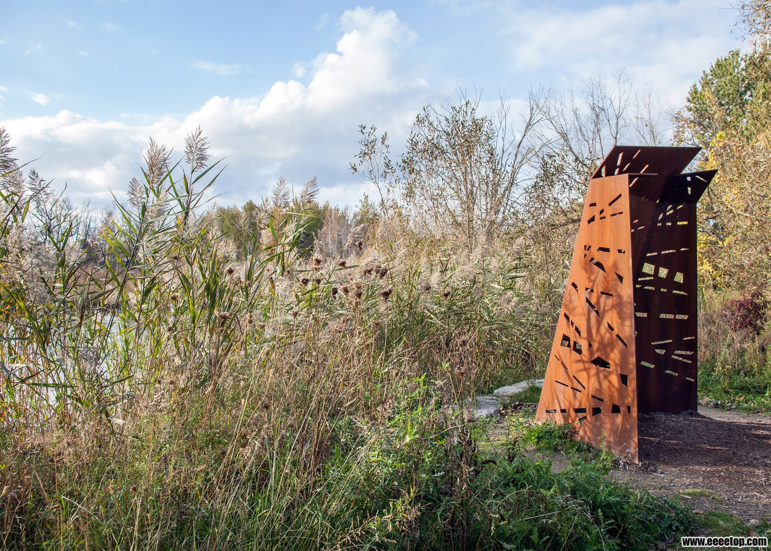 east-point-park-bird-sanctuary-plant-architect-viewpoint-architecture-weathering.jpg