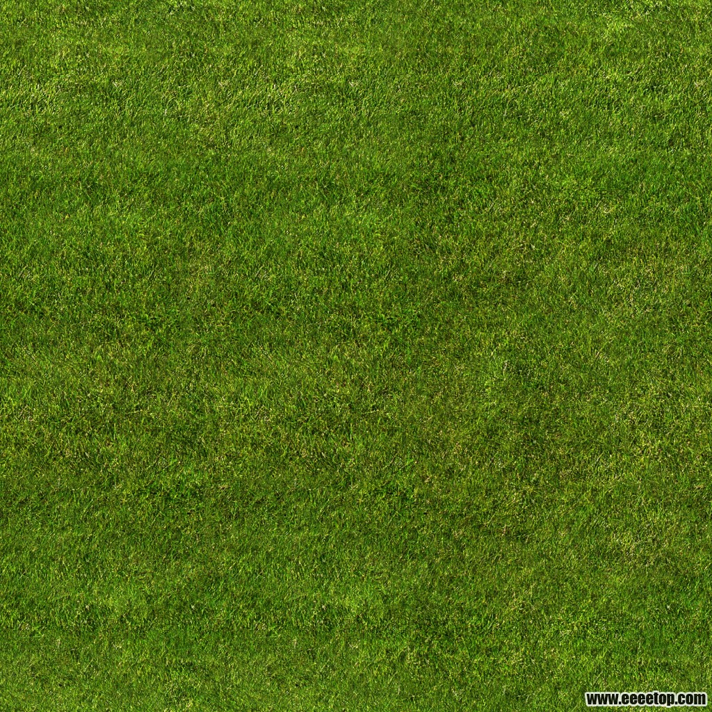 1grass_texture_seamless_1.jpg