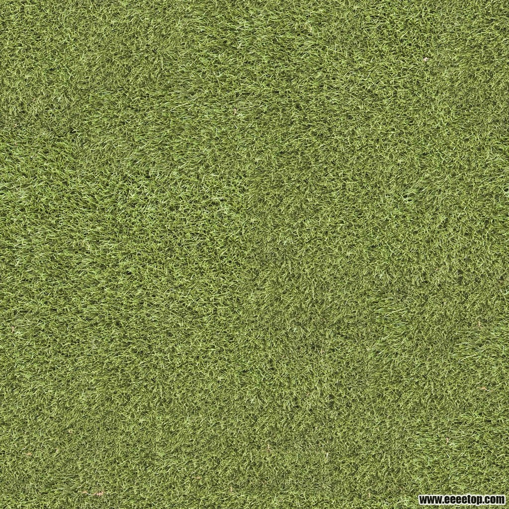 1grass_texture_seamless_15.jpg