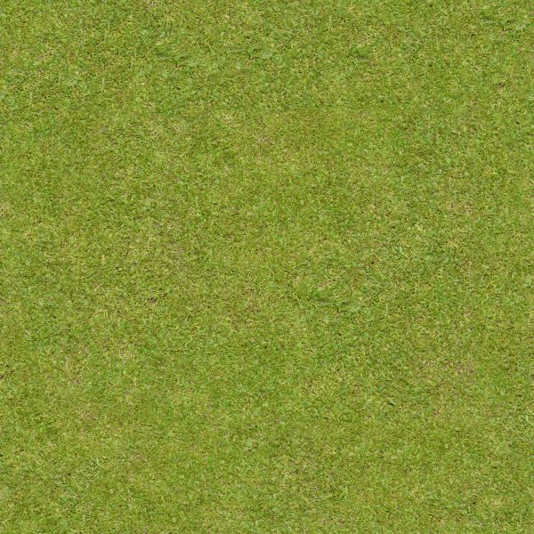 1grass_texture_seamless_19.jpg