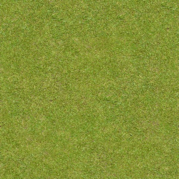 1grass_texture_seamless_19.jpg