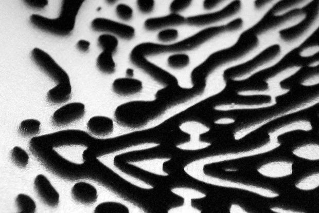 02682fcb051e88dbfe9c44256064526c.jpg