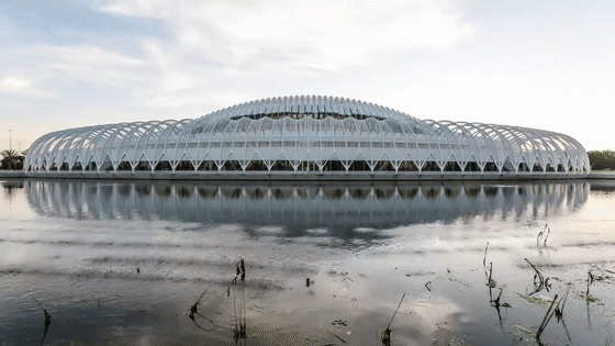 73e69ae0f1bc2088d300c7f533a16554.gif