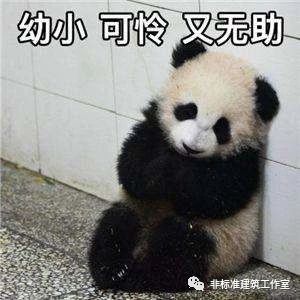 76062f8a97aff82617b9fe9eecfe4af3.jpg