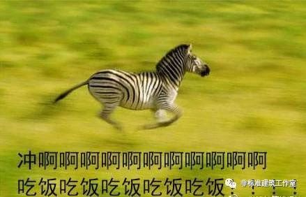 78c7e4c5e21633b7c3fbcfafd945fe20.jpg