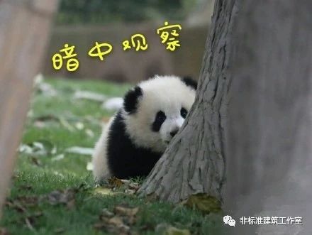 59a2eaaa4b0e03b8db47be10e6455ccf.jpg