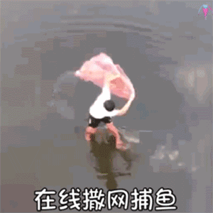 e627e17327ee750dab4e4008a4b4b695.gif
