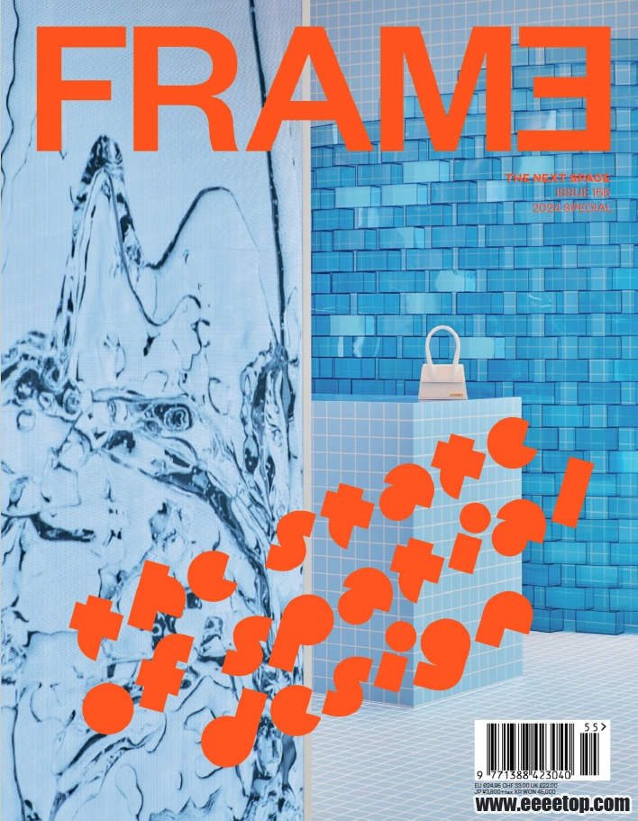 Frame - Issue 155.png