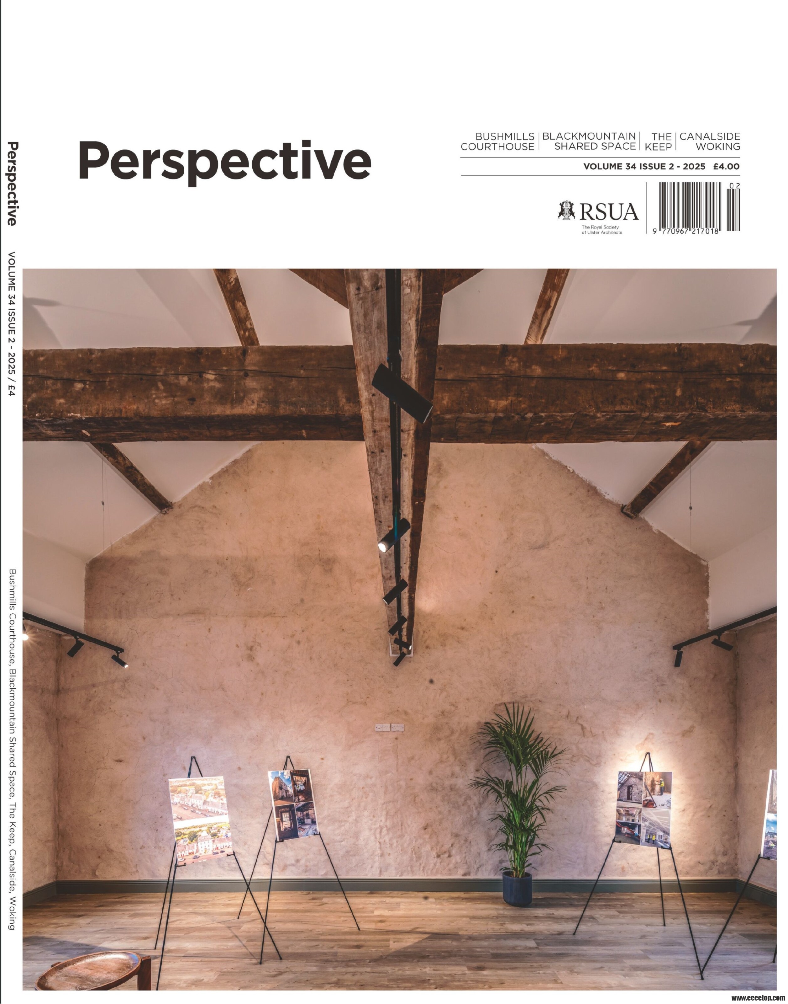 []Perspective ӽ Vol34 I2 2025