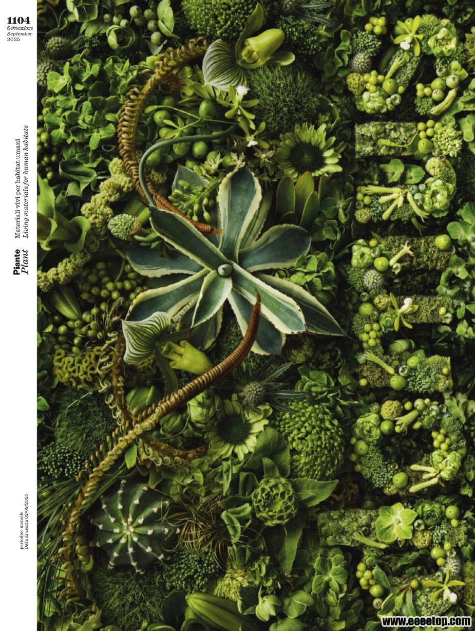 Domus Italia 09 2025_eeeetop.com_first_page.jpg